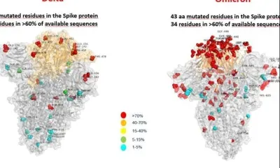 Изображение нового омикрон-штамма с 32 мутациями показали ученые