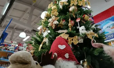 Путин исполнит новогодние желания трех детей