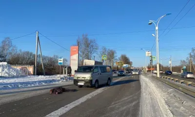 Женщина-пешеход погибла после столкновения автомобилей в Благовещенске