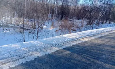 Подросток на автомобиле насмерть сбил девушку и вывез ее тело в лес в Приморье