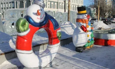 На территории Амурской области 29 января осадков не ожидается