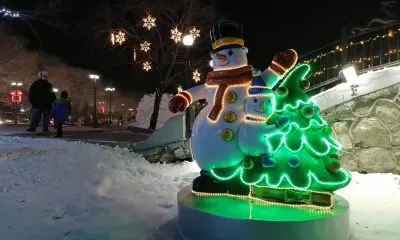 Небольшой снег в Амурской области 30 января 