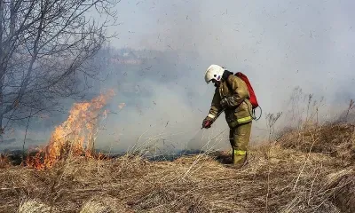Пожаром охвачены 100 гектаров в Приморье 