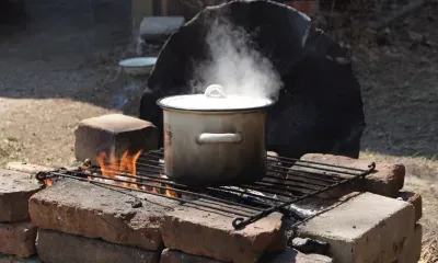 Вкусные маршруты для туристов появились в Амурской области