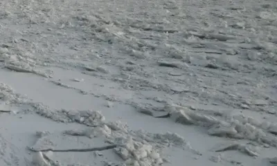 Международный день снежных гигантов отмечается 27 февраля 