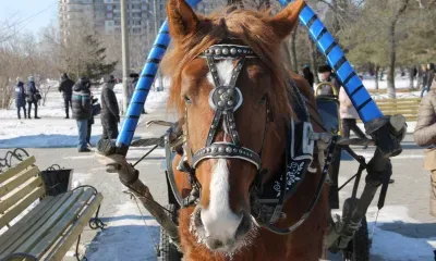 Мокрый снег и 6 градусов тепла в Приамурье 9 марта