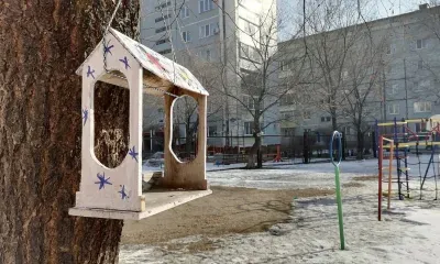 Небольшой снег ожидается 14 марта в Амурской области