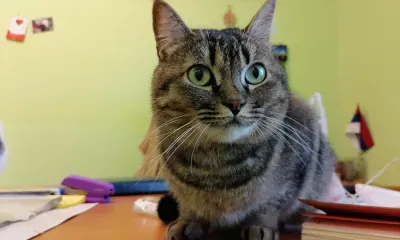 Владелица клиники в Приамурье обратилась в суд из-за порочащей информации