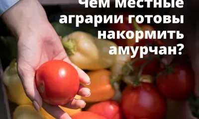 Министр расскажет амурчанам о производстве продуктов питания в регионе