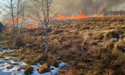 Лесные пожары подступают к селам на севере Амурской области 
