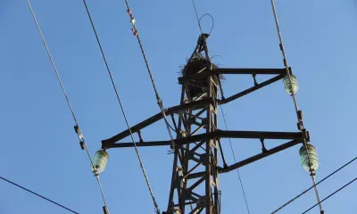 Режим повышенной готовности ввели энергетики из-за непогоды в Приамурье