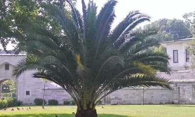 Страны, где россияне смогут отдохнуть в этом году, назвали туроператоры