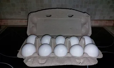 Россия вошла в десятку стран с наибольшим потреблением яиц