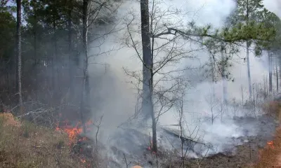 Пожары в Китае могут "задымить" Дальний Восток