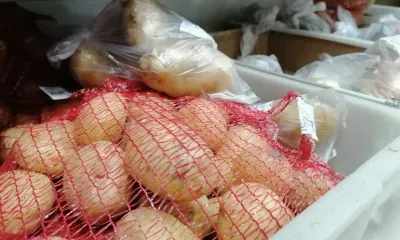 Предприниматель судится с Зейской ГЭС из-за потерянного урожая картофеля