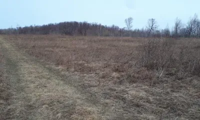 Захоронения домашних питомцев ищут на пастбищах Приамурья