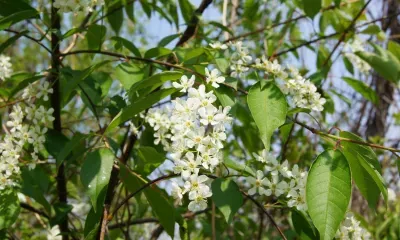 Наступающая рабочая неделя будет трехдневной для россиян