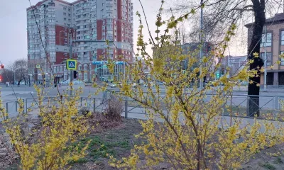 На территории Амурской области 12 мая в северных районах местами небольшие осадки