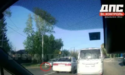 Кошка чудом не попала под колеса авто в Благовещенске, перебегая дорогу