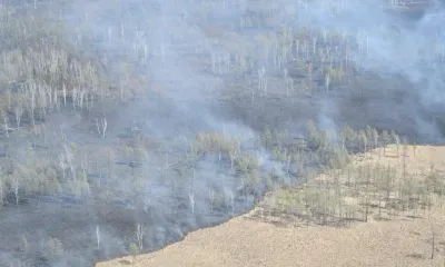 Траву в нарушение правил сжигали жители Благовещенского района 