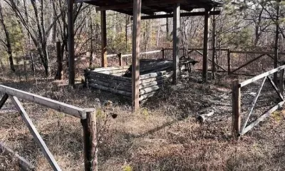 Бесхозяйные скотомогильники ликвидируют в Благовещенском районе 