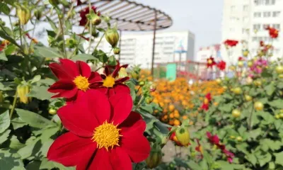 Будет жарко: до 30 градусов тепла ожидается в Амурской области 6 июня