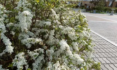 Короткая рабочая неделя ожидает россиян в июне