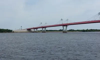 Мясо, фрукты и животных запрещено ввозить в Китай по новому мосту с Приамурьем