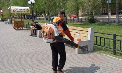 Молодожены и владельцы собак огорчают уборщиков набережной Благовещенска