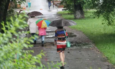 На территории Амурской области 22 июня дожди, в отдельных районах сильные, грозы