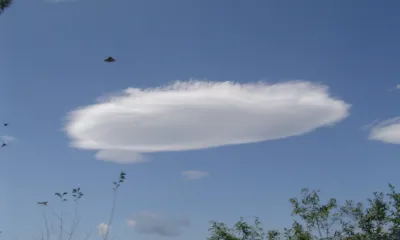 Свидетельства существования НЛО обнародовали ученые