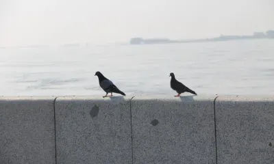 На территории Амурской области 29 июня местами кратковременные дожди, грозы