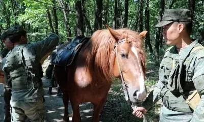Курсанты ДВОКУ готовятся к монгольскому "Конному марафону" 