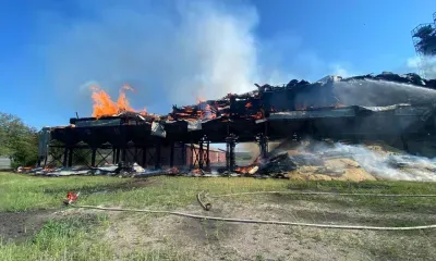 500 тонн сои спасли при пожаре на зерновом дворе в Тамбовском районе