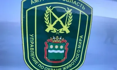 Новый заместитель появился у начальника охотуправления Амурской области