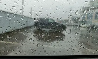 Упавшие из-за урагана деревья убили двоих человек в Москве