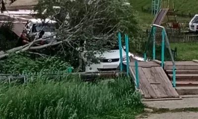 Дерево рухнуло на автомобиль в Шимановске под натиском ветра и града