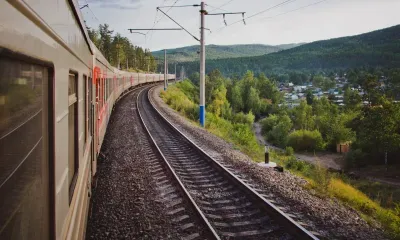 Норка, ящерица и голубь отправились со станций ЗабЖД без сопровождения хозяев в 2022 году
