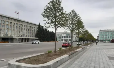 Семена начали созревать на немецких липах в Благовещенске
