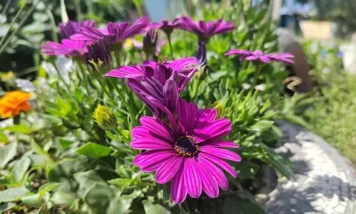 Воздух до 22 градусов прогреется в Амурской области 10 августа