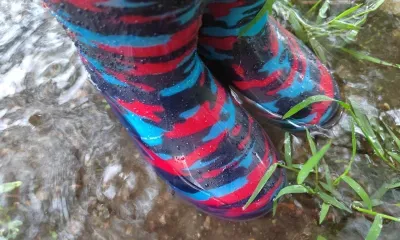 Похолодание и грозы спустятся на Амурскую область 