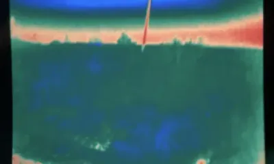 Леопард, напавший на человека в Приморье, может снова прийти к людям