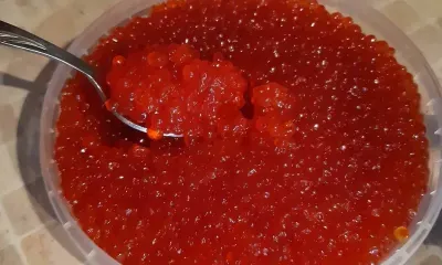 Красная икра перед Новым годом не подорожает