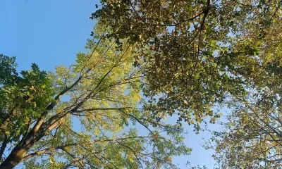 День и ночь сравняются 23 сентября