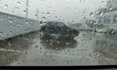 Циклоны с нарастающей активностью пройдут за неделю по Приамурью 