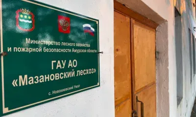 В служебном подлоге подозревают сотрудника амурского лесхоза 