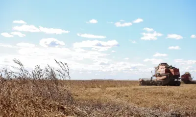 Студенты участвуют в уборке сои в Амурской области