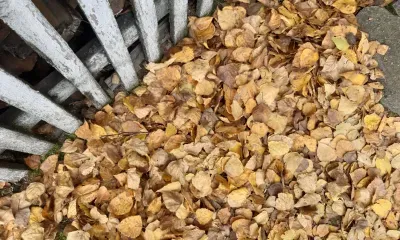 Подготовка дачи к зиме может обернуться для россиян штрафами