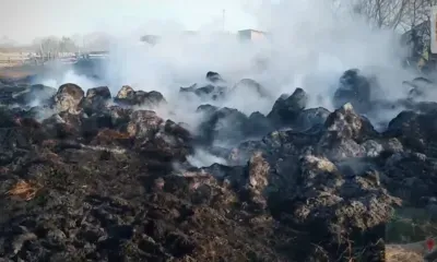 50 рулонов сена сгорели дотла в хозяйстве Благовещенского района