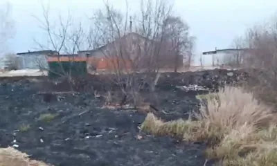 Пироман по ночам поджигает траву в Благовещенском районе